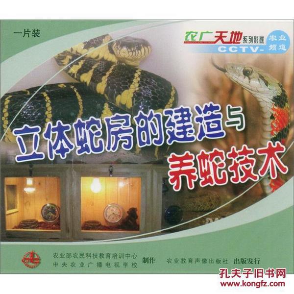 最新养蛇视频，蛇类日常故事的温馨呈现