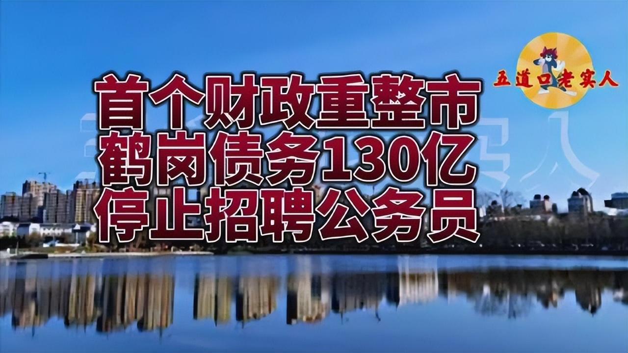 鹤岗最新招聘信息，时代脉搏下的职业新篇章探索