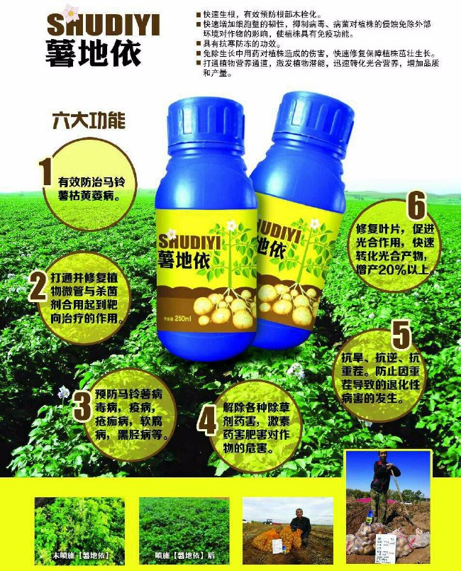最新地霍科技产品介绍及特点概述