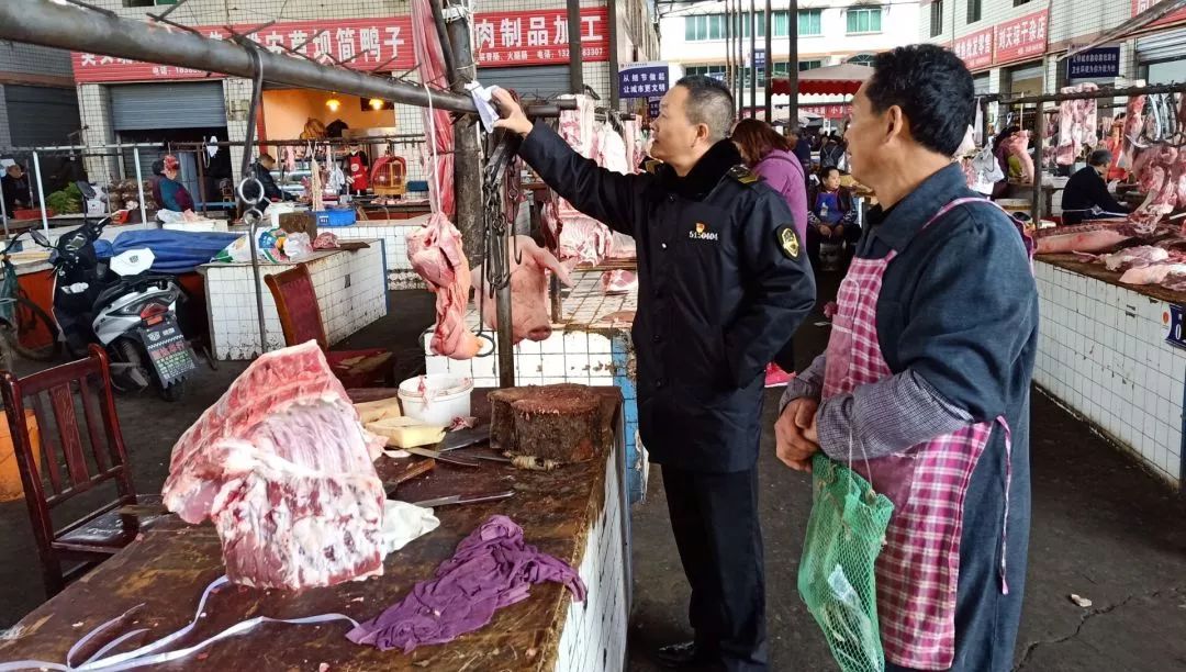非洲猪瘟最新动态详解，全面理解与应对的初学者及进阶用户指南