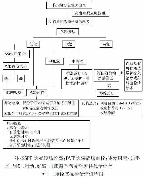 肺栓塞最新指南观点深度阐述与解读