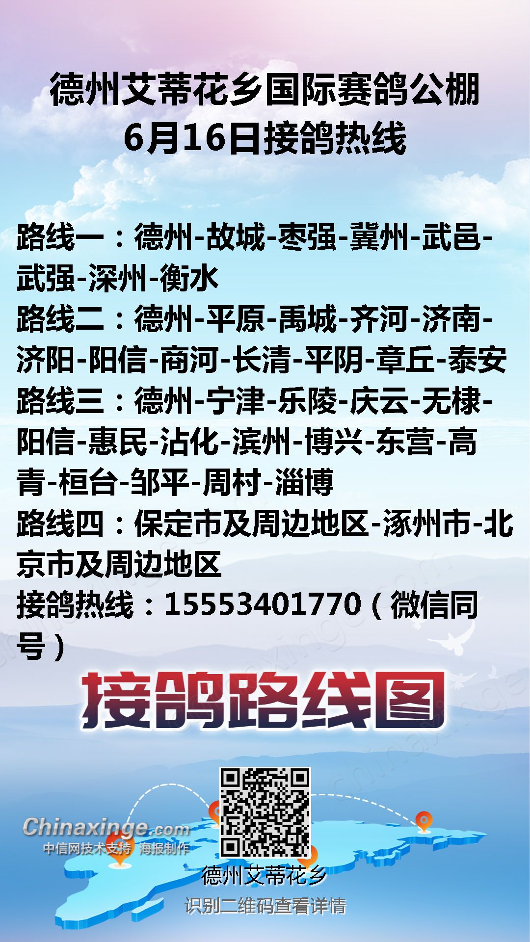 德州赛鸽公棚最新公告，自然之旅启程，探索内心宁静与美景奇迹的奇迹之旅